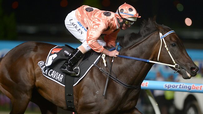 20130322_Black_Caviar