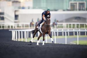 20130327_Royal_Delta