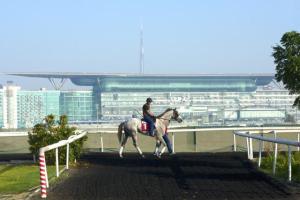 20130328_Hes_Had_Enough