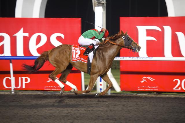 20130330_Animal_Kingdom