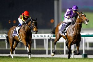Iwata, riding Gentildonna of Japan, races to the finish line during the eighth race "Dubai Sheema Classic" of the Dubai World Cup at the Meydan Racecourse in Dubai