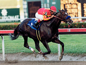 20010204_Captain_Steve