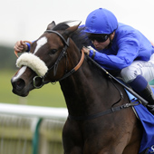 Newmarket Races certify