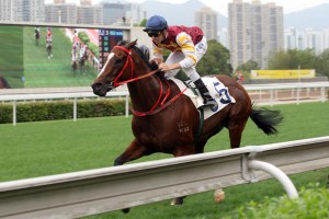 20130401_Go_Baby _Go