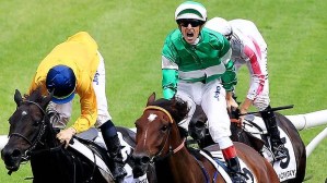 20130406_Fiveandahalfstar