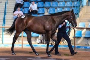 20130411_River_Done_2011