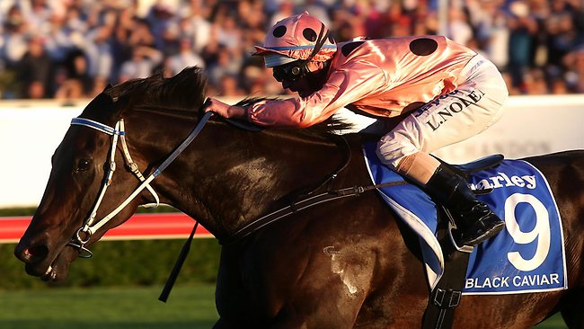 20130413_Black_Caviar