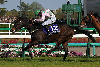 20130413_Blackstairmountain