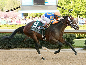 20130413_Overanalyze