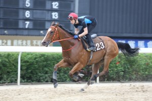 20130419_Master_of_Puppets