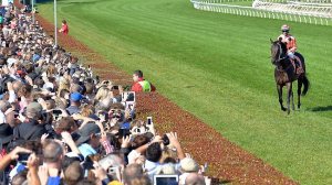 20130420_Black_Caviar