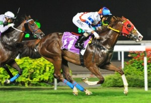 20130426_Better_Life