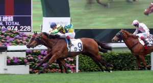 20130428_Rich_Tapestry