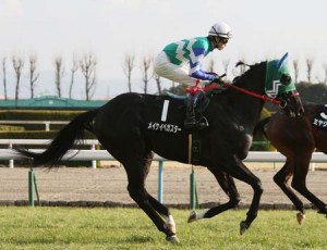 20130119_Meikei_Pega_Star