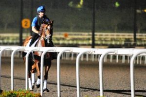 20130502_Hunter's Light