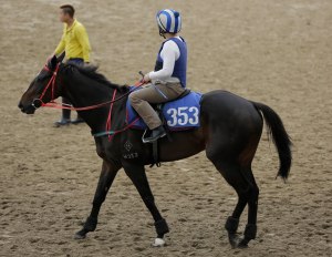 20130503_Glorious_Days