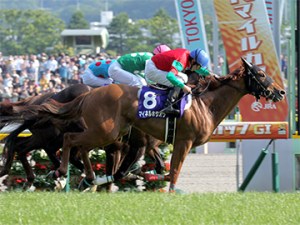 20130505_Meiner_Ho_O