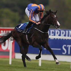 20130512_Battle_Of_Marengo