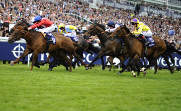 20130601_Duke_of_Firenze