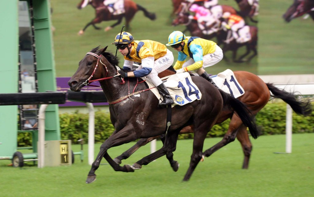 20130616_Sterling_City