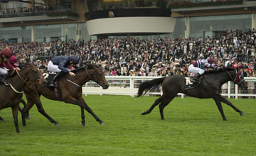 20130620_No_Nay_Never