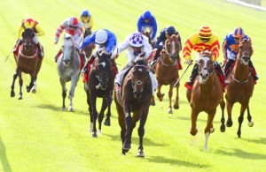 鮑爾傑素示此駒是難贏馬匹，需要騎師力催下控制馬匹。 Source: Healy Racing Photos