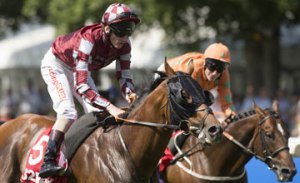 20130713_Field_of_Dream