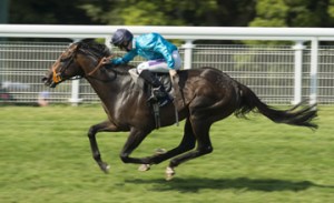 Glorious Goodwood day 3