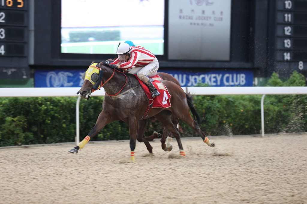 20130817_Oakcrest Drive