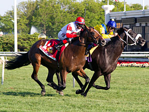 20130817_Real_Solution