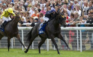 20130818_No_Nay_Never