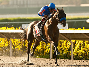 20130825_Game_On_Dude