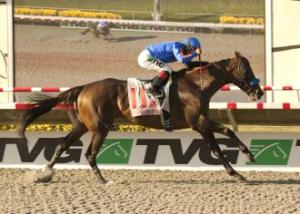 「翩翩公子」起步後基本上沒怎減速，是賽事的大勝關鍵。 Source: Benoit Photo