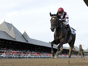 20130826_Royal_Delta