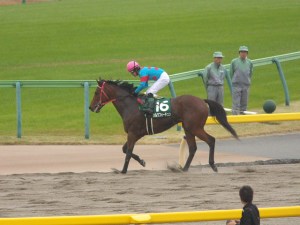 20101114_Silk_Fortune