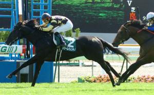 20120617_Dream_Valentino