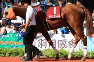 20130908_Sudden_Storm