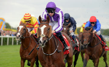 20130914_Leading_Light