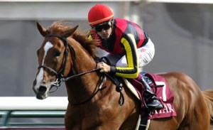 Prix de l'Arc de Triomphe - Trials