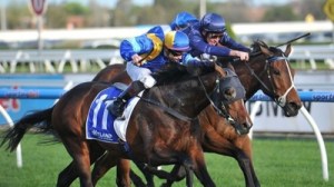 20130921_Its_A_Dundeel