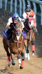 20130925_Grand_Prix_Boss