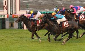 20130915_Demin_And_Ruby