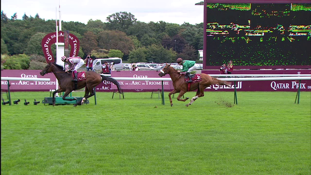 法國賽馬會考慮凱旋門大賽將來開放閹馬參與