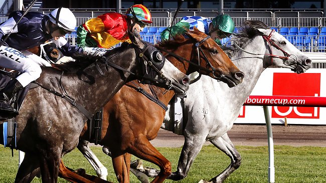 20131005_Happy_Trails