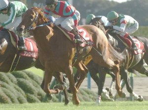 20131006_Hit_the_Target