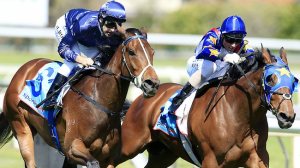 20131012_Atlantic_Jewel