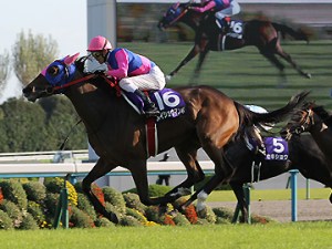 20131013_Meisho_Mambo