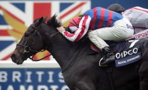 20131019 Royal Diamond