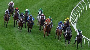 來～追～我～喔。我是處女「馬」。 Source: Michael Klein/Herald Sun