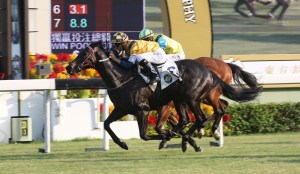 20131027_Sterling_City